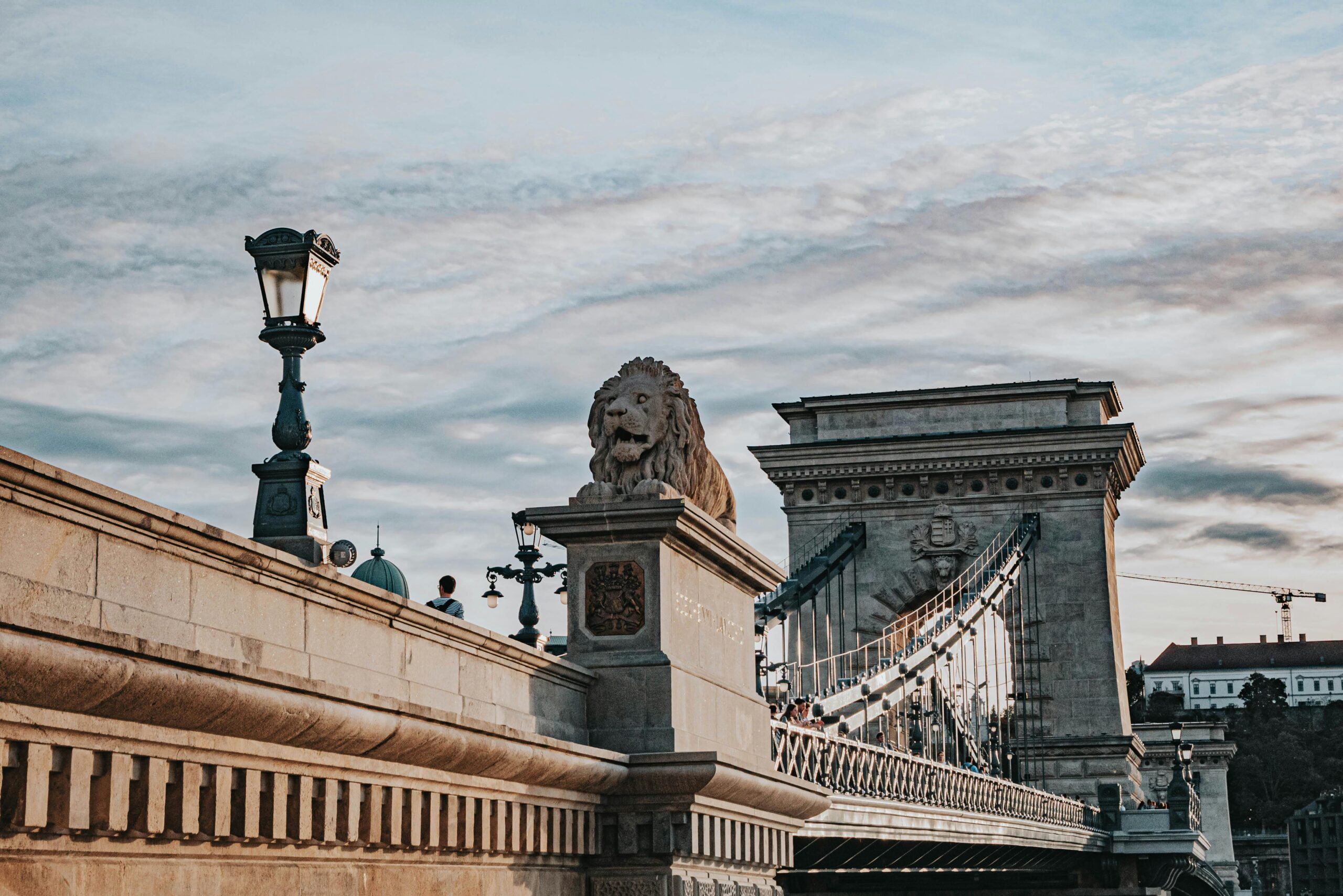 pexels-igorejov-21063363