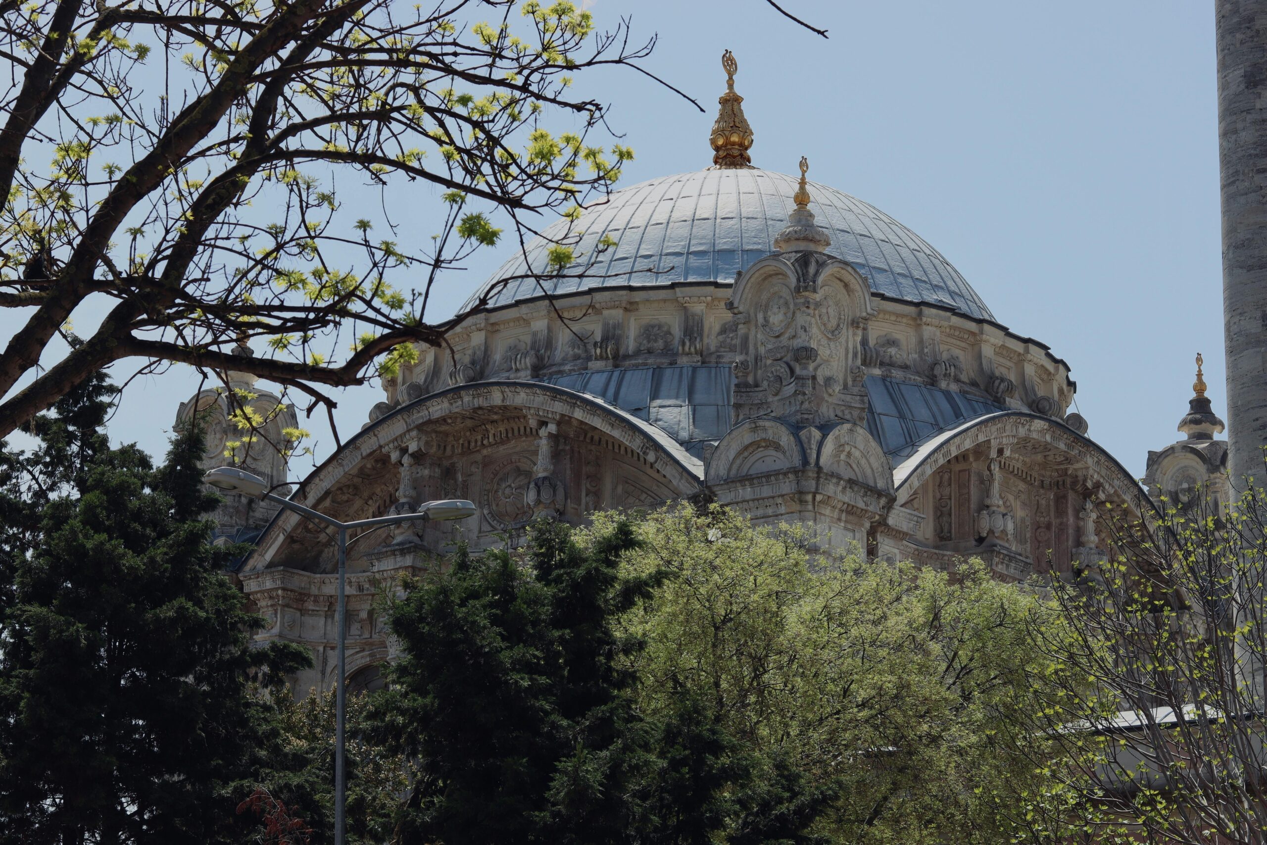 pexels-kubrakuzu-11956694